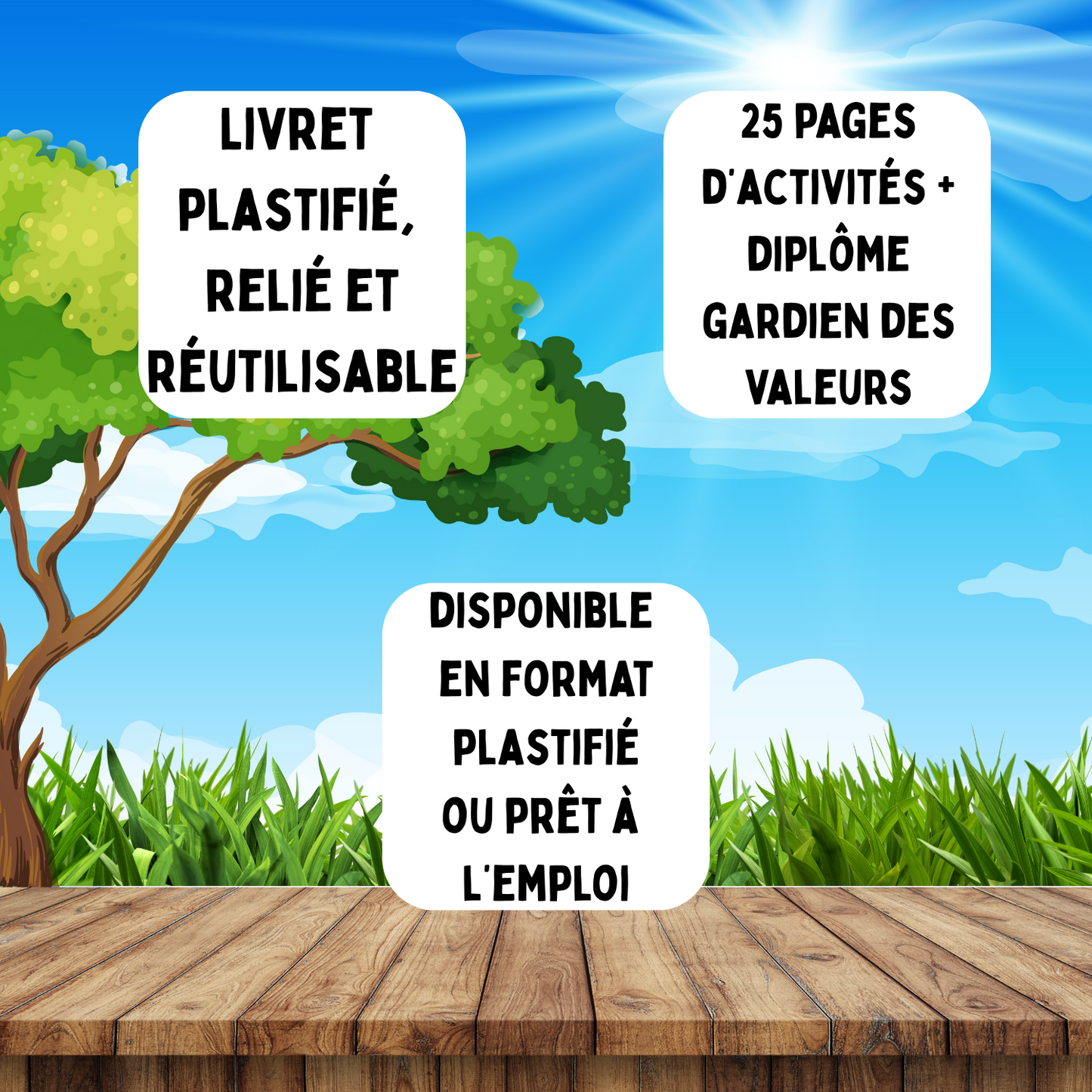Je Découvre les VALEURS avec Minou