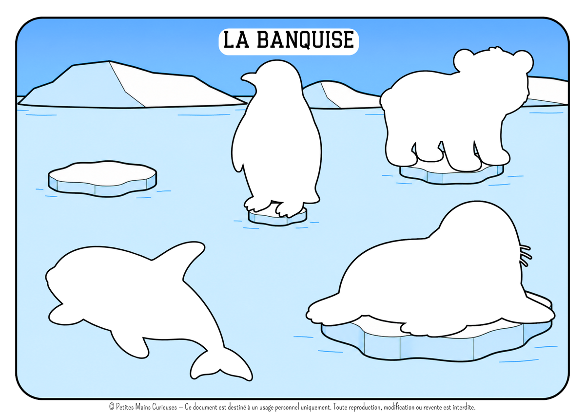 Aperçu livret animaux
